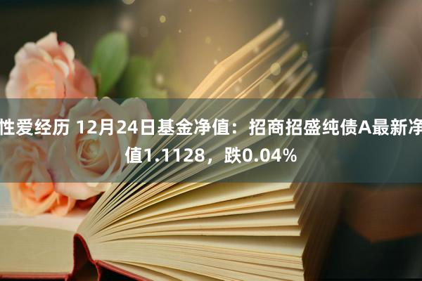 性爱经历 12月24日基金净值：招商招盛纯债A最新净值1.1128，跌0.04%