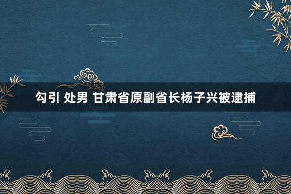 勾引 处男 甘肃省原副省长杨子兴被逮捕