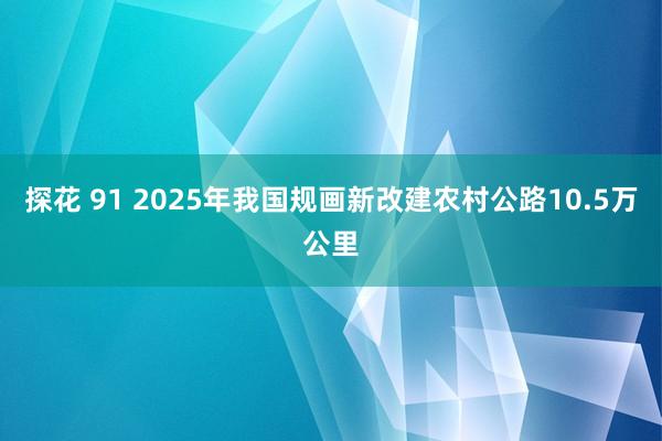 探花 91 2025年我国规画新改建农村公路10.5万公里