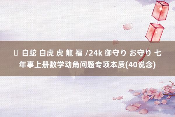 ✨白蛇 白虎 虎 龍 福 /24k 御守り お守り 七年事上册数学动角问题专项本质(40说念)