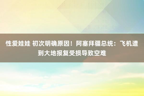 性爱娃娃 初次明确原因！阿塞拜疆总统：飞机遭到大地报复受损导致空难