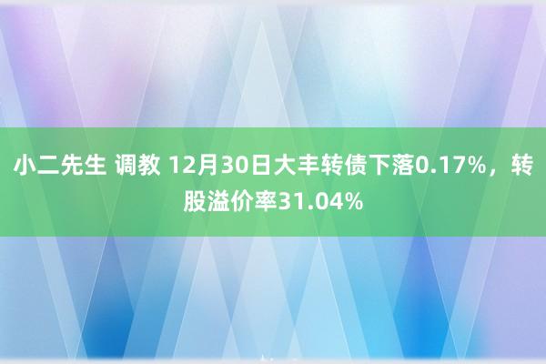 小二先生 调教 12月30日大丰转债下落0.17%，转股溢价率31.04%