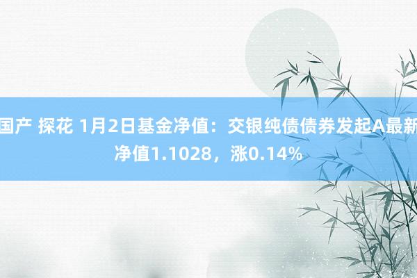 国产 探花 1月2日基金净值：交银纯债债券发起A最新净值1.1028，涨0.14%