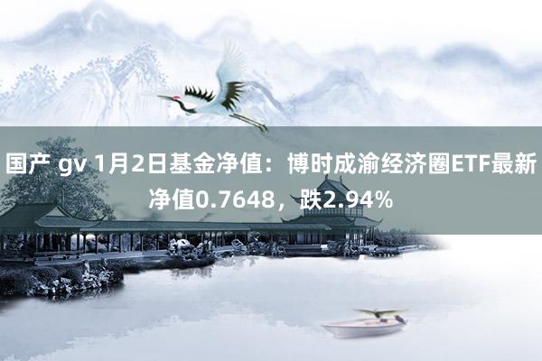 国产 gv 1月2日基金净值：博时成渝经济圈ETF最新净值0.7648，跌2.94%