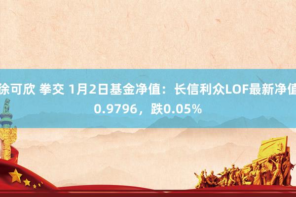 徐可欣 拳交 1月2日基金净值：长信利众LOF最新净值0.9796，跌0.05%