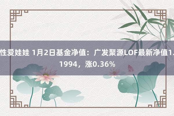 性爱娃娃 1月2日基金净值：广发聚源LOF最新净值1.1994，涨0.36%