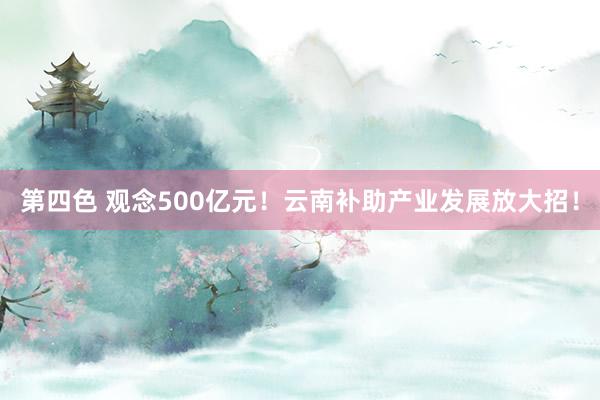 第四色 观念500亿元！云南补助产业发展放大招！