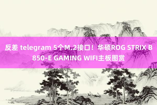 反差 telegram 5个M.2接口！华硕ROG STRIX B850-E GAMING WIFI主板图赏