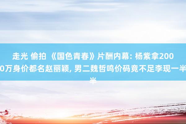 走光 偷拍 《国色青春》片酬内幕: 杨紫拿2000万身价都名赵丽颖， 男二魏哲鸣价码竟不足李现一半