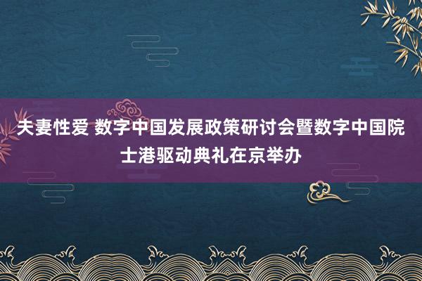 夫妻性爱 数字中国发展政策研讨会暨数字中国院士港驱动典礼在京举办