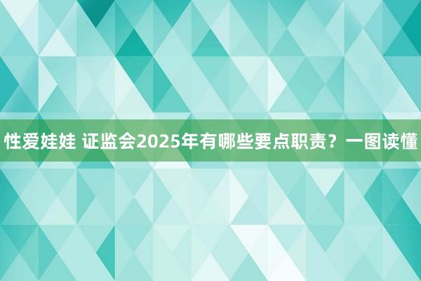 性爱娃娃 证监会2025年有哪些要点职责？一图读懂