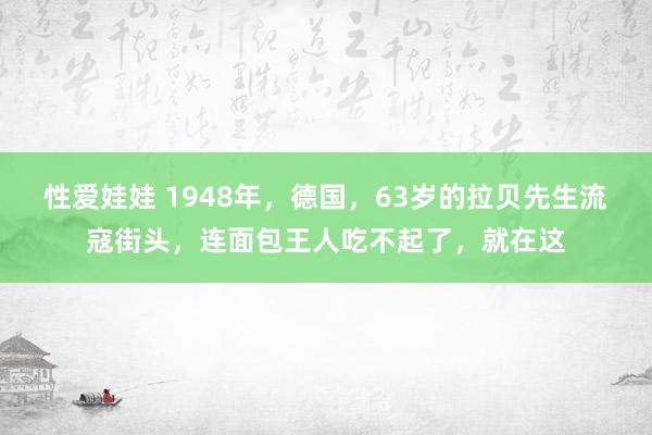 性爱娃娃 1948年，德国，63岁的拉贝先生流寇街头，连面包王人吃不起了，就在这