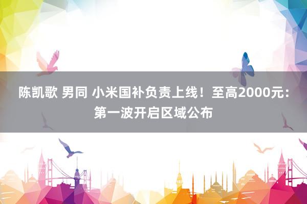 陈凯歌 男同 小米国补负责上线！至高2000元：第一波开启区域公布